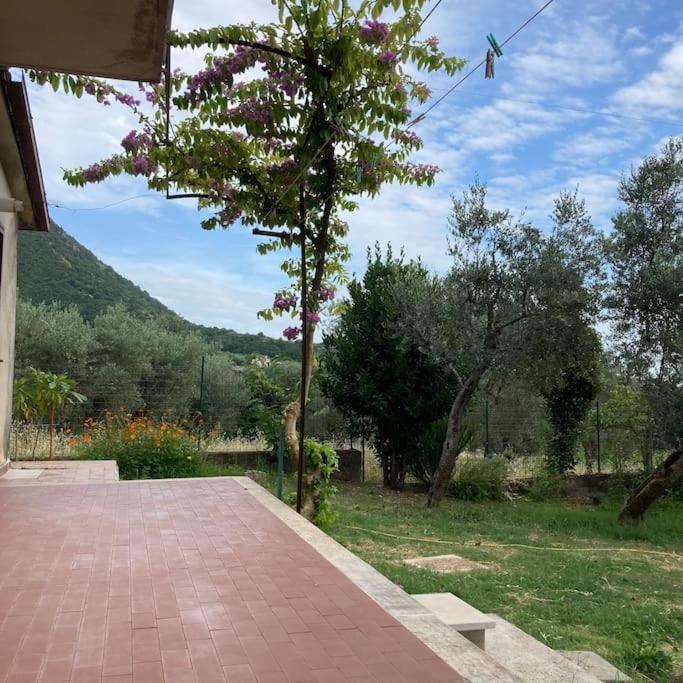 Casa Sisu-Appartamento Immerso Negli Ulivi SantʼElia Fiumerapido Exterior foto