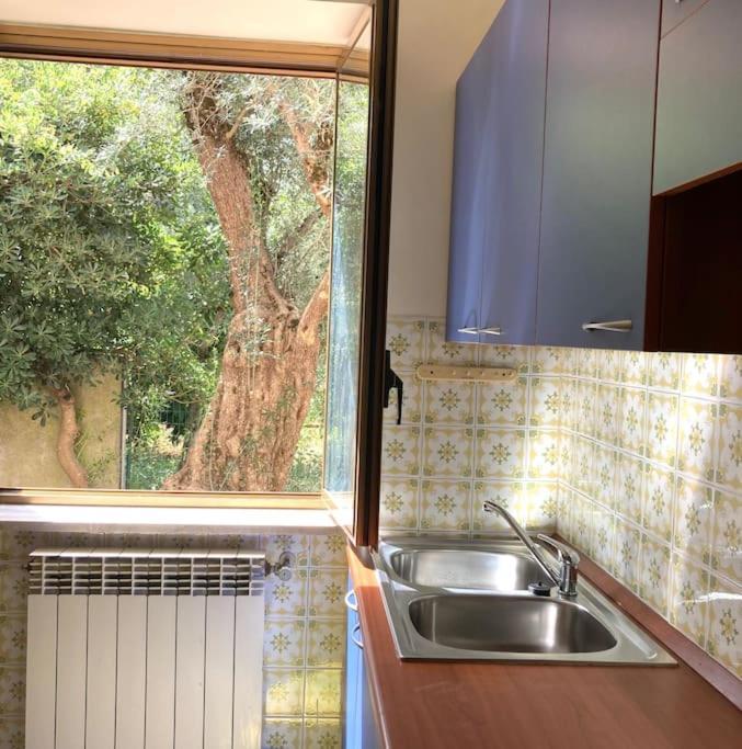 Casa Sisu-Appartamento Immerso Negli Ulivi SantʼElia Fiumerapido Exterior foto