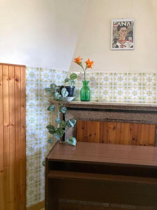 Casa Sisu-Appartamento Immerso Negli Ulivi SantʼElia Fiumerapido Exterior foto